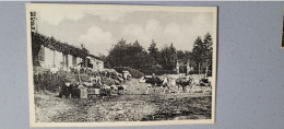 Delcampe - Fayl-Billot , Rue St Anne , Pâtre Conduisant Son Troupeau à L'abreuvoir - Fayl-Billot