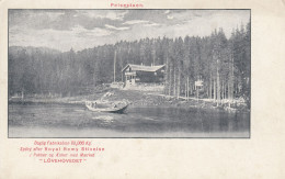 Delcampe - CPA NORVÈGE - Peisestuen - Rare Carte Publicitaire "Royal Remy Stivelse" Løvehovedet - Norwegen