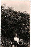 Delcampe - CPA  Carte  Postale  Cameroun  La Forêt    VM111097 - Cameroun