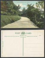 Delcampe - Bermuda Old Colour Postcard Entrance To Hamilton Hotel, Road Street Scene No.57 - Bermuda