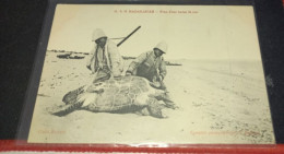 Delcampe - MADAGASCAR*-N°51*-  Prise D'une Tortue De Mer - Madagascar