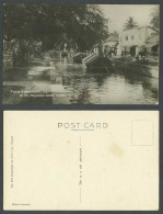 Delcampe - Ceylon Old Real Photo Postcard Padda Boats On Negombo Canal Bullock Carts Street - Sri Lanka (Ceylon)