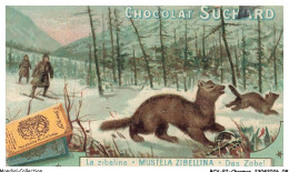 Delcampe - BCVP7-0582-CHROMOS - CHOCOLAT SUCHARD - LA ZIBELINE - Suchard