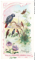Delcampe - BCVP6-0507-CHROMOS - CHOCOLAT D'AIGUEBELLE - LE PERROQUET - Aiguebelle