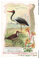 Delcampe - BCVP6-0501-CHROMOS - CHOCOLAT D'AIGUEBELLE - JABIRU DU SENEGAL - BECASSE COMMUNE - Aiguebelle