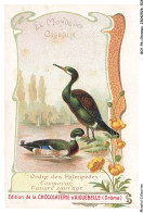 Delcampe - BCVP6-0502-CHROMOS - CHOCOLAT D'AIGUEBELLE - CORMORAN - CANARD SAUVAGE - Aiguebelle
