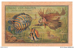Delcampe - BCVP6-0526-CHROMOS - CACAO VAN HOUTEN - POISSONS DE L'OCEAN INDIEN - Van Houten
