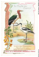 Delcampe - BCVP6-0504-CHROMOS - CHOCOLAT D'AIGUEBELLE - MARABOUT A SAC - RECURVIROSTRE AVOCETTE - Aiguebelle