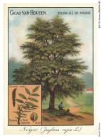 Delcampe - BCZP11-0628-CHROMOS - CACAO VAN HOUTEN - SOLUBILISE EN POUDRE - Van Houten