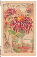 Delcampe - BCZP11-0642-CHROMOS - CACAO VAN HOUTEN - SOLUBILISE EN POUDRE - LE CHRYSANTHEME - Van Houten
