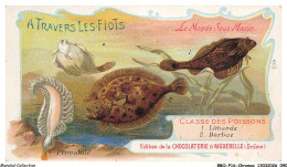 Delcampe - BBQP16-1321-CHROMOS - Chocolat D'aiguebelle - Le Monde Des Poissons - Limande - Barbue - Pennatule - Aiguebelle