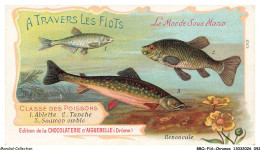 Delcampe - BBQP16-1322-CHROMOS - Chocolat D'aiguebelle - Le Monde Des Poissons - Ablette - Tranche - Saumon Omble - Aiguebelle