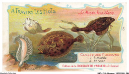 Delcampe - BBQP16-1319-CHROMOS - Chocolat D'aiguebelle - Le Monde Sous-marin - Classes Des Poissons - Limande - Barbue - Aiguebelle