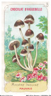Delcampe - BBQP16-1289-CHROMOS - Chocolat D'aiguebelle - Les Champignons - Mycene Incliné - Mauvais - Aiguebelle