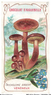 Delcampe - BBQP16-1286-CHROMOS - Chocolat D'aiguebelle - Les Champignons - Tricholome Ardent - Veneneux - Aiguebelle