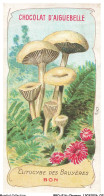 Delcampe - BBQP16-1287-CHROMOS - Chocolat D'aiguebelle - Les Champignons - Clitocybe Des Bruyeres - Bon - Aiguebelle
