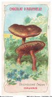 Delcampe - BBQP16-1288-CHROMOS - Chocolat D'aiguebelle - Les Champignons - Tricholome Fauve - Mauvais - Aiguebelle