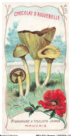 Delcampe - BBQP16-1282-CHROMOS - Chocolat D'aiguebelle - Les Champignons - Hygrophore A Feuillets Jaunes - Mauvais - Aiguebelle