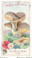 Delcampe - BBQP16-1284-CHROMOS - Chocolat D'aiguebelle - Les Champignons - Polypore Des Brebis - Bon - Aiguebelle