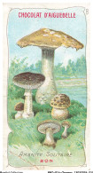 Delcampe - BBQP16-1281-CHROMOS - Chocolat D'aiguebelle - Les Champignons - Amanite Solitaire - Bon - Aiguebelle