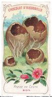 Delcampe - BBQP16-1280-CHROMOS - Chocolat D'aiguebelle - Les Champignons - Pezize En Coupe - Bon - Aiguebelle