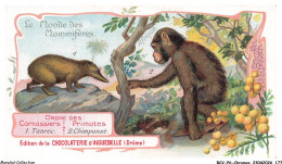 Delcampe - BCVP6-0489-CHROMOS - CHOCOLAT D'AIGUEBELLE - TANREC - CHIMPANZE - Aiguebelle