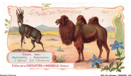 Delcampe - BCVP6-0491-CHROMOS - CHOCOLAT D'AIGUEBELLE - GORAL - CHAMEAU - Aiguebelle