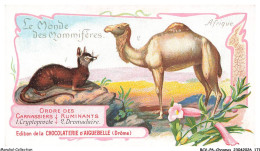 Delcampe - BCVP6-0486-CHROMOS - CHOCOLAT D'AIGUEBELLE - CRYPTOPROCTE - DROMADAIRE - Aiguebelle
