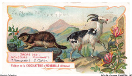 Delcampe - BCVP6-0499-CHROMOS - CHOCOLAT D'AIGUEBELLE - MARMOTTE - CHEVRE - Aiguebelle