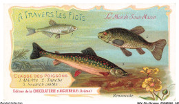 Delcampe - BCVP6-0472-CHROMOS - CHOCOLAT D'AIGUEBELLE - ABLETTE - TANCHE - SAUMON OMBLE - Aiguebelle