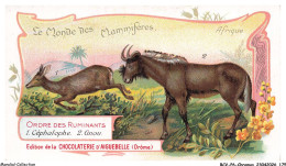 Delcampe - BCVP6-0488-CHROMOS - CHOCOLAT D'AIGUEBELLE - CEPHALOPHE - GNOU - Aiguebelle