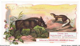 Delcampe - BCVP6-0481-CHROMOS - CHOCOLAT D'AIGUEBELLE - PHACOCHERE - SPERMOSCIVRE - Aiguebelle