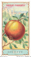 Delcampe - BCVP6-0464-CHROMOS - CHOCOLAT D'AIGUEBELLE - GRENADE - Aiguebelle