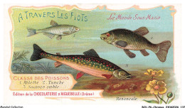 Delcampe - BCVP6-0469-CHROMOS - CHOCOLAT D'AIGUEBELLE - ABLETTE - TANCHE - SAUMON OMBLE - Aiguebelle