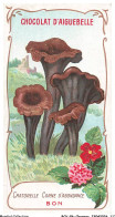 Delcampe - BCVP6-0459-CHROMOS - CHOCOLAT D'AIGUEBELLE - CRATORELLE CORNE D'ABONDANCE - Aiguebelle