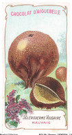 Delcampe - BCVP6-0460-CHROMOS - CHOCOLAT D'AIGUEBELLE - SCLERODERME VULGAIRE - Aiguebelle