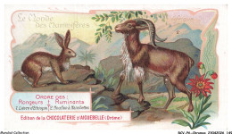 Delcampe - BCVP6-0475-CHROMOS - CHOCOLAT D'AIGUEBELLE - LIEVRE D'ETHIOPIE - MOUFLON A MANCHETTES - Aiguebelle