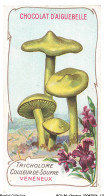 Delcampe - BCVP6-0458-CHROMOS - CHOCOLAT D'AIGUEBELLE - TRICHOLOME COULEUR DE SOUFRE - Aiguebelle