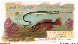 Delcampe - BCVP6-0468-CHROMOS - CHOCOLAT D'AIGUEBELLE - FISTULAIRE - LABRE VARIE - Aiguebelle