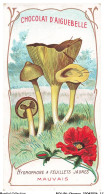 Delcampe - BCVP6-0457-CHROMOS - CHOCOLAT D'AIGUEBELLE - HYGROPHORE A FEUILLETS JAUNES - Aiguebelle