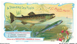 Delcampe - BCVP6-0466-CHROMOS - CHOCOLAT D'AIGUEBELLE - TRUITE COMMUNE - EPERLAN COMMUN - Aiguebelle