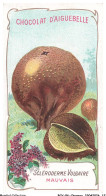 Delcampe - BCVP6-0462-CHROMOS - CHOCOLAT D'AIGUEBELLE - SCLERODERME VULGAIRE - Aiguebelle
