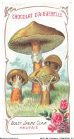 Delcampe - BCVP6-0461-CHROMOS - CHOCOLAT D'AIGUEBELLE - BOLET JAUNE CLAIR - Aiguebelle