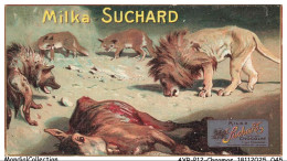 Delcampe - AYRP12-0858-CHROMOS - Chocolat Suchard - Lion - Hyène - Suchard