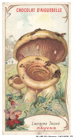 Delcampe - BU-BFP3-1096-CHROMOS - CHOCOLAT D'AIGUEBELLE - Lactaire Taché - Mauvais - Aiguebelle