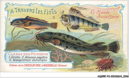 Delcampe - AQ#BFP3-CHROMOS-0772 - Chocolat D'Aiguebelle - Le Monde Sous-Marin - Classe Des Poissons - Aiguebelle