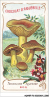 Delcampe - AQ#BFP3-CHROMOS-0792 - Chocolat D'Aiguebelle - Champignon - Tricholome équestre, Bon - Aiguebelle