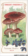 Delcampe - AQ#BFP3-CHROMOS-0797 - Chocolat D'Aiguebelle - Champignon - Tricholome Russule, Bon - Aiguebelle