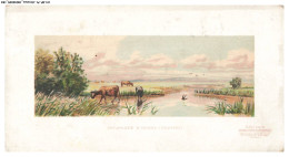 Delcampe - CH-BFP1-0503-CHROMOS - CHOCOLATERIE D'AIGUEBELLE - Paturage D'isigny - Aiguebelle
