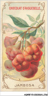 Delcampe - AQ#BFP3-CHROMOS-0881 - CHOCOLAT D'AIGUEBELLE - Jambosa - Aiguebelle